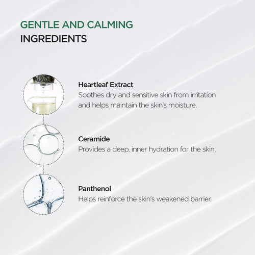 Anua 70% Extract Heartleaf intense Calming Cream